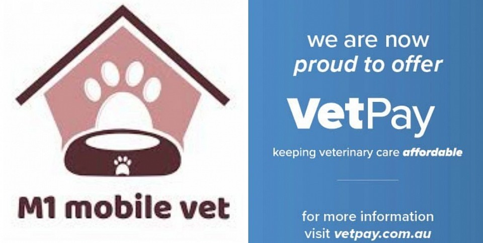 M1 Mobile VetPay